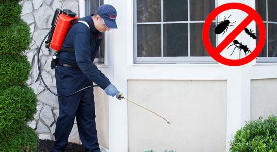 Selçuklu Kene İlaçlama böcek ilaçlama ve haşere kontrolü — ilaclama-tr.com